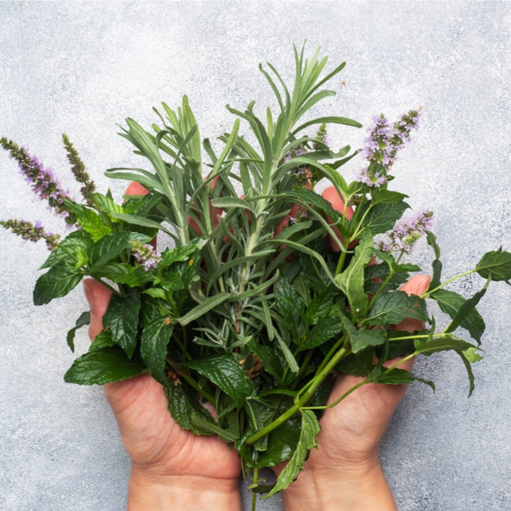 Herbs From Handmade Naturals