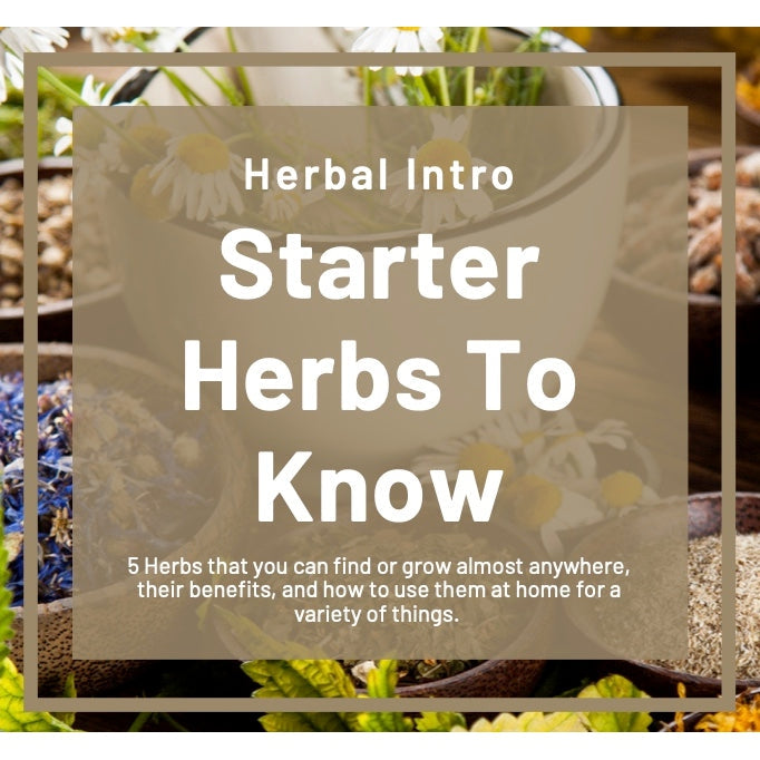 Herbal Intro - Starter Herbs to Know eBook-Handmade Naturals Inc